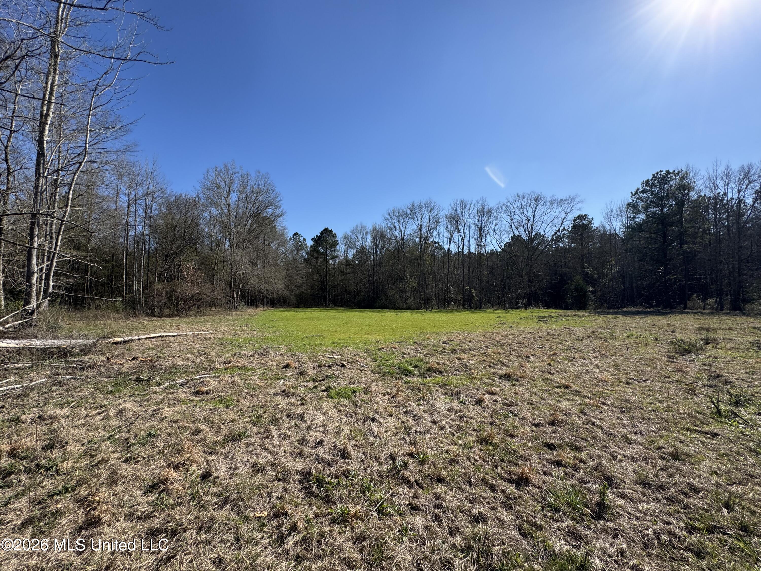 29 Sontag-Nola Road Sontag, MS 39665 - Photo 20 of 78 Photo Mar 02 2026, 14 43 49