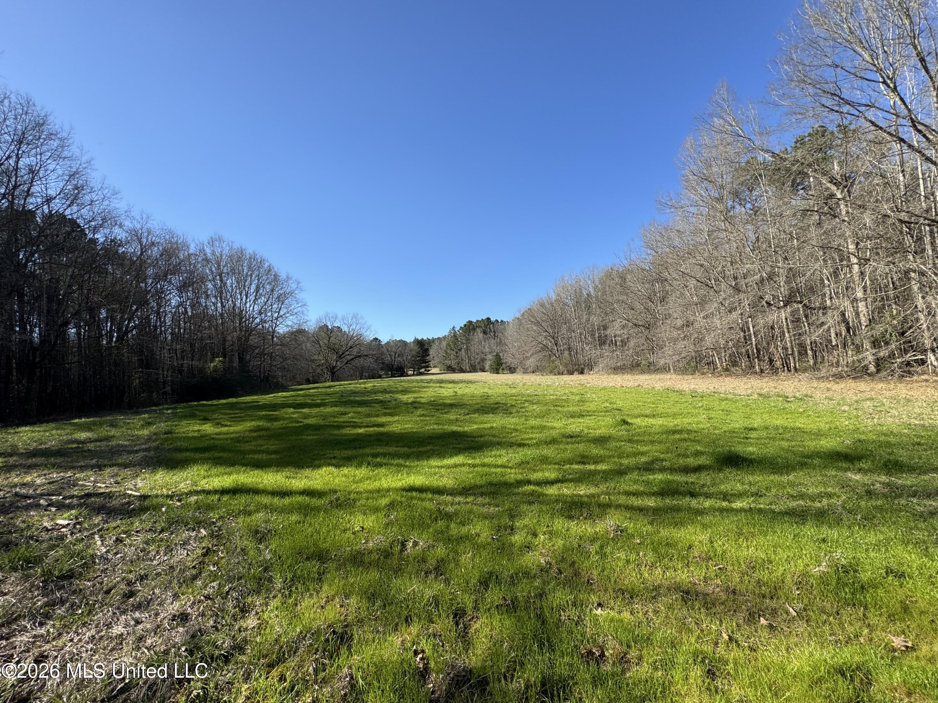 29 Sontag-Nola Road Sontag, MS 39665 - Photo 2 of 78 3