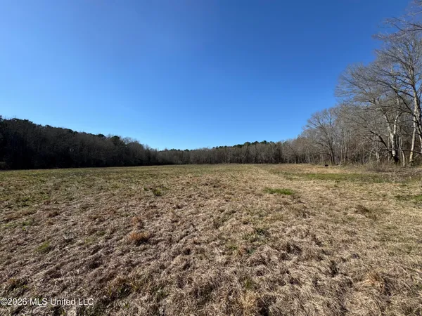 $560,000 | 29 Sontag-Nola Road, Sontag, MS 39665