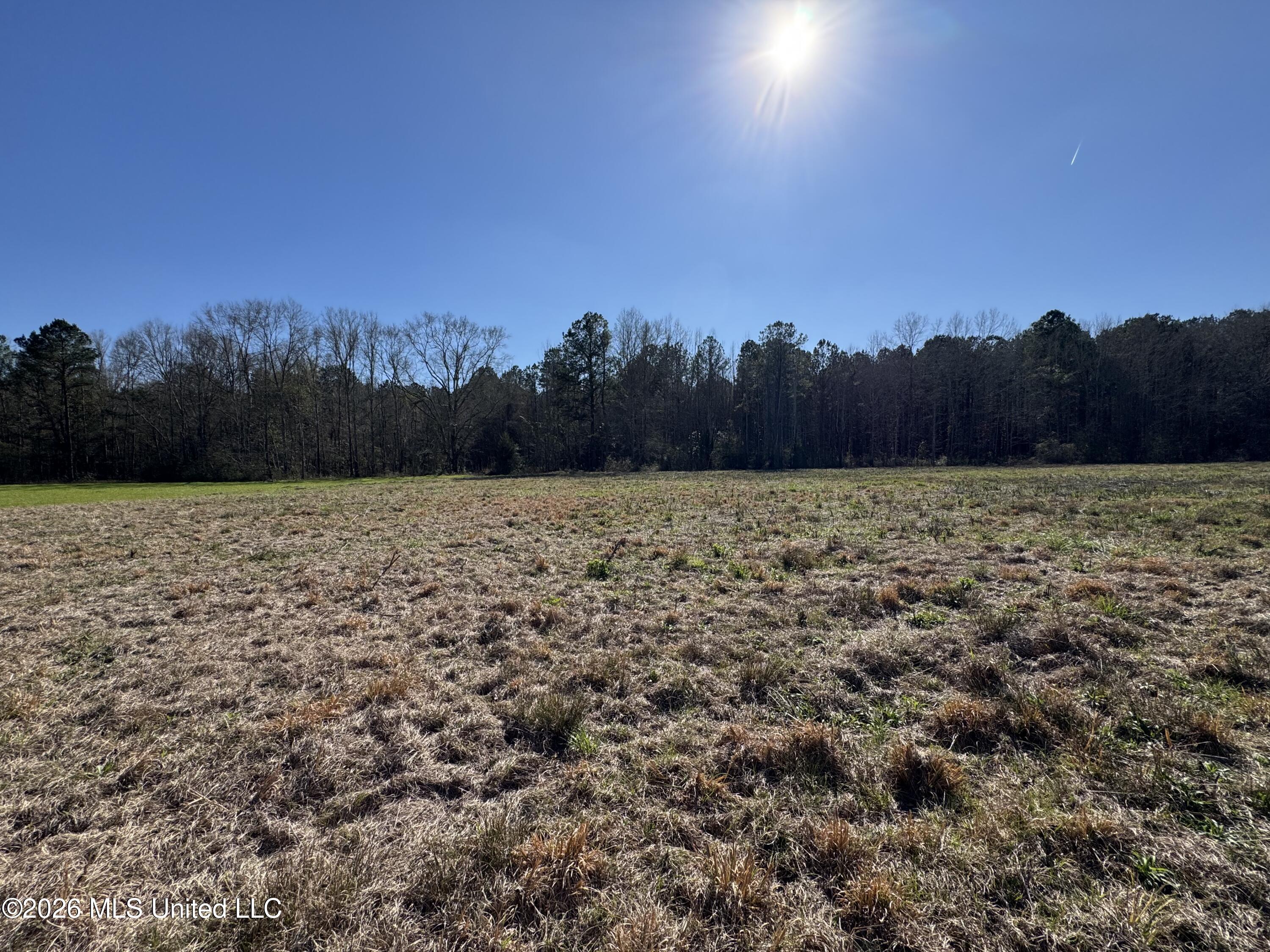 29 Sontag-Nola Road Sontag, MS 39665 - Photo 22 of 78 Photo Mar 02 2026, 14 44 13