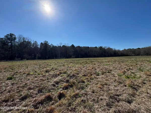 $560,000 | 29 Sontag-Nola Road, Sontag, MS 39665