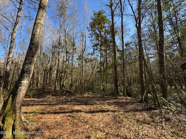 $560,000 | 29 Sontag-Nola Road, Sontag, MS 39665
