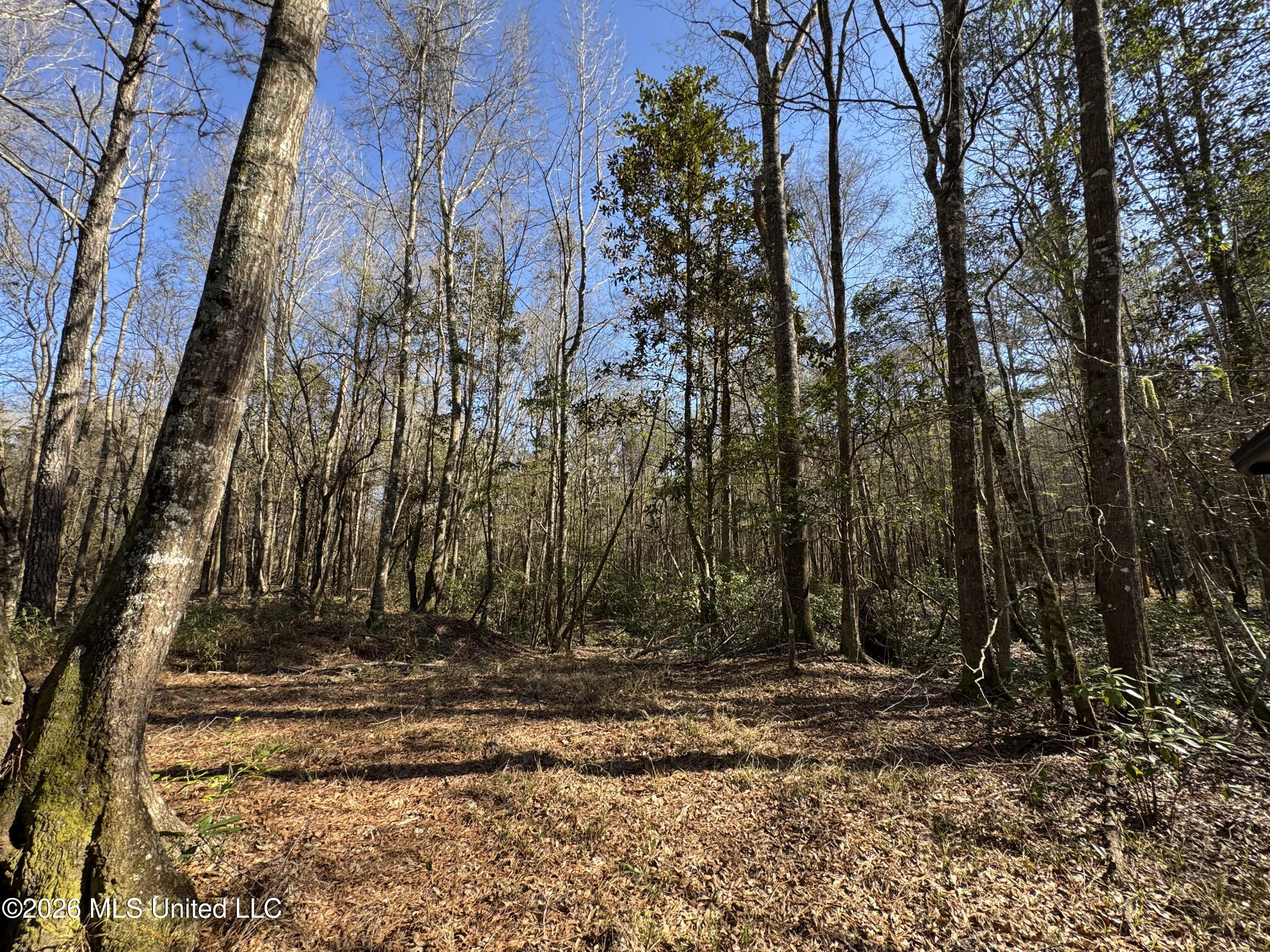 29 Sontag-Nola Road Sontag, MS 39665 - Photo 24 of 78 Photo Mar 02 2026, 14 44 56
