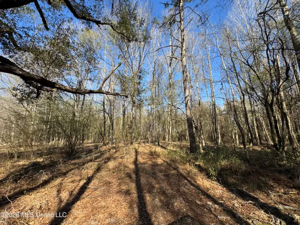 $560,000 | 29 Sontag-Nola Road, Sontag, MS 39665