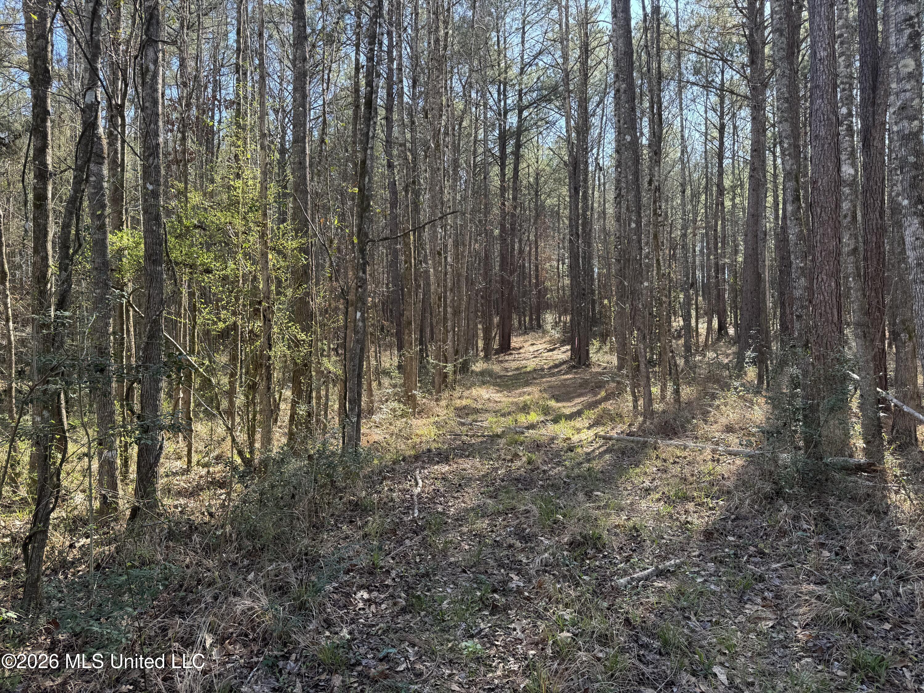 29 Sontag-Nola Road Sontag, MS 39665 - Photo 26 of 78 Photo Mar 02 2026, 14 46 30