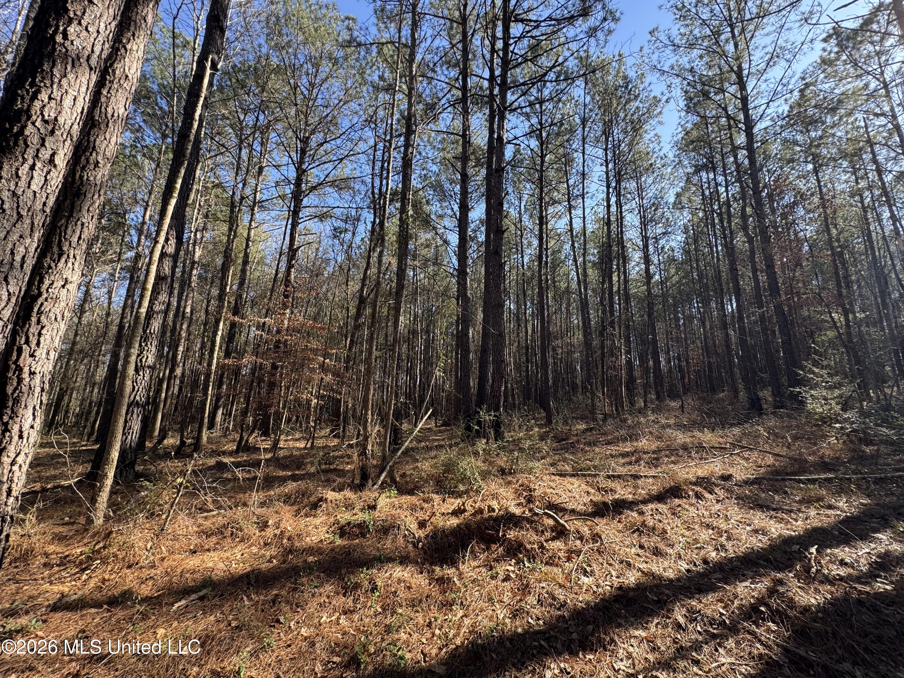29 Sontag-Nola Road Sontag, MS 39665 - Photo 27 of 78 Photo Mar 02 2026, 14 50 53
