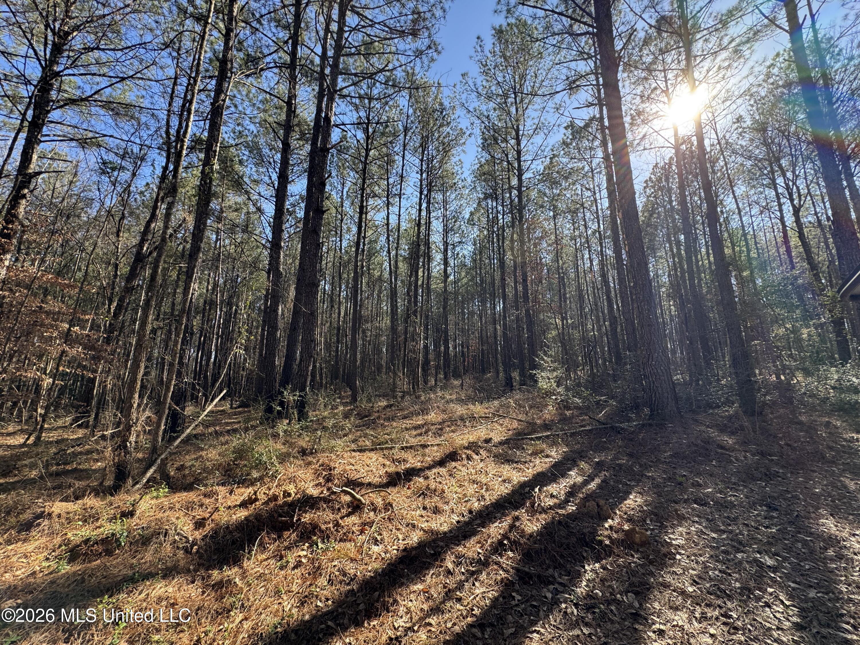 29 Sontag-Nola Road Sontag, MS 39665 - Photo 28 of 78 Photo Mar 02 2026, 14 50 56
