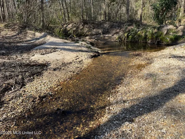 $560,000 | 29 Sontag-Nola Road, Sontag, MS 39665