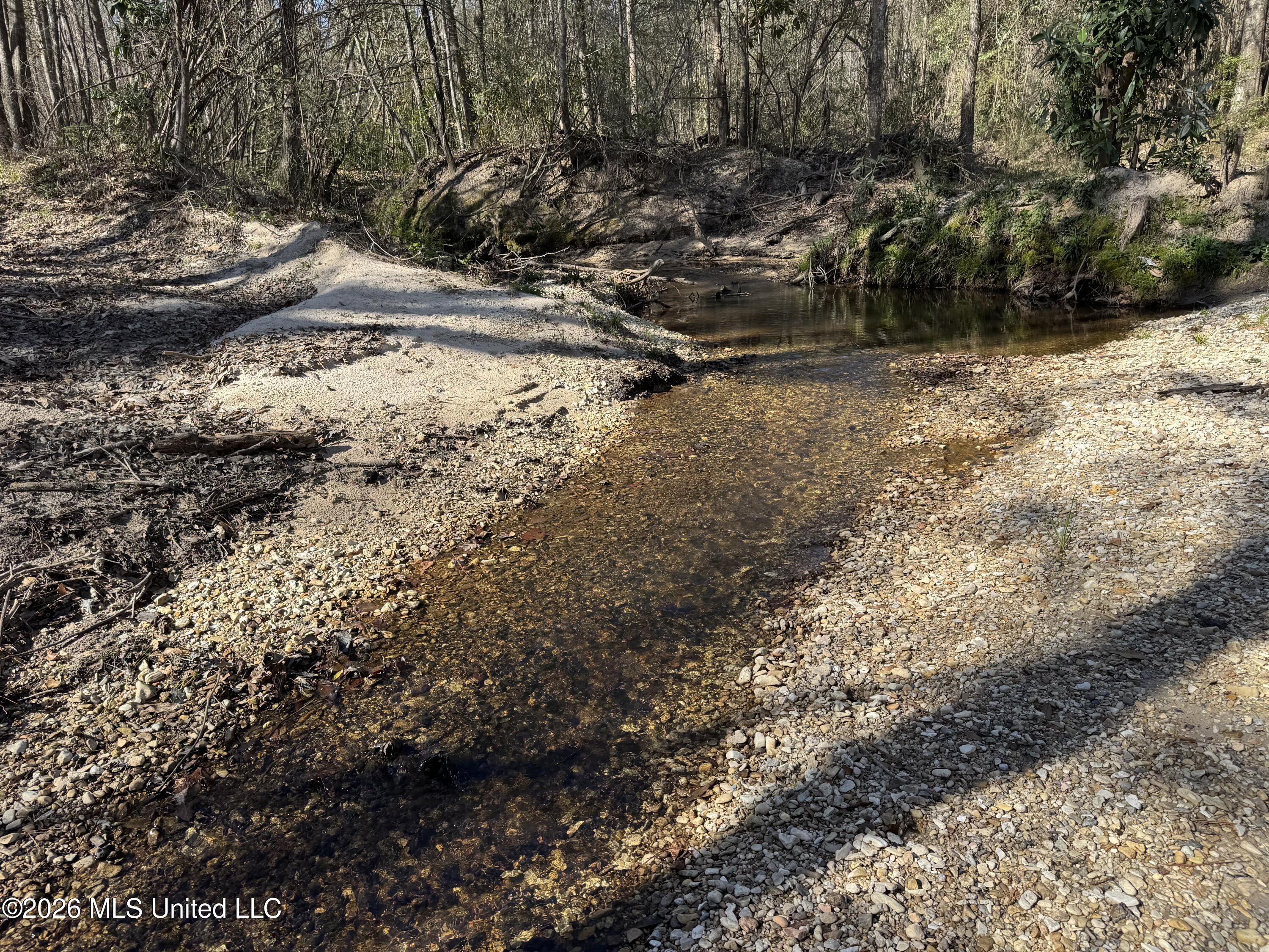 29 Sontag-Nola Road Sontag, MS 39665 - Photo 3 of 78 2