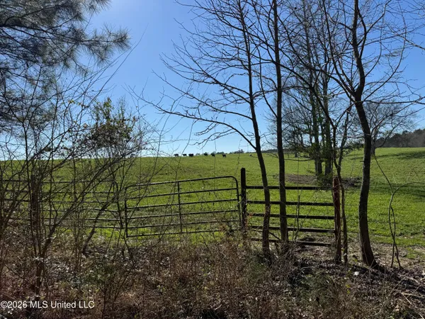 $560,000 | 29 Sontag-Nola Road, Sontag, MS 39665