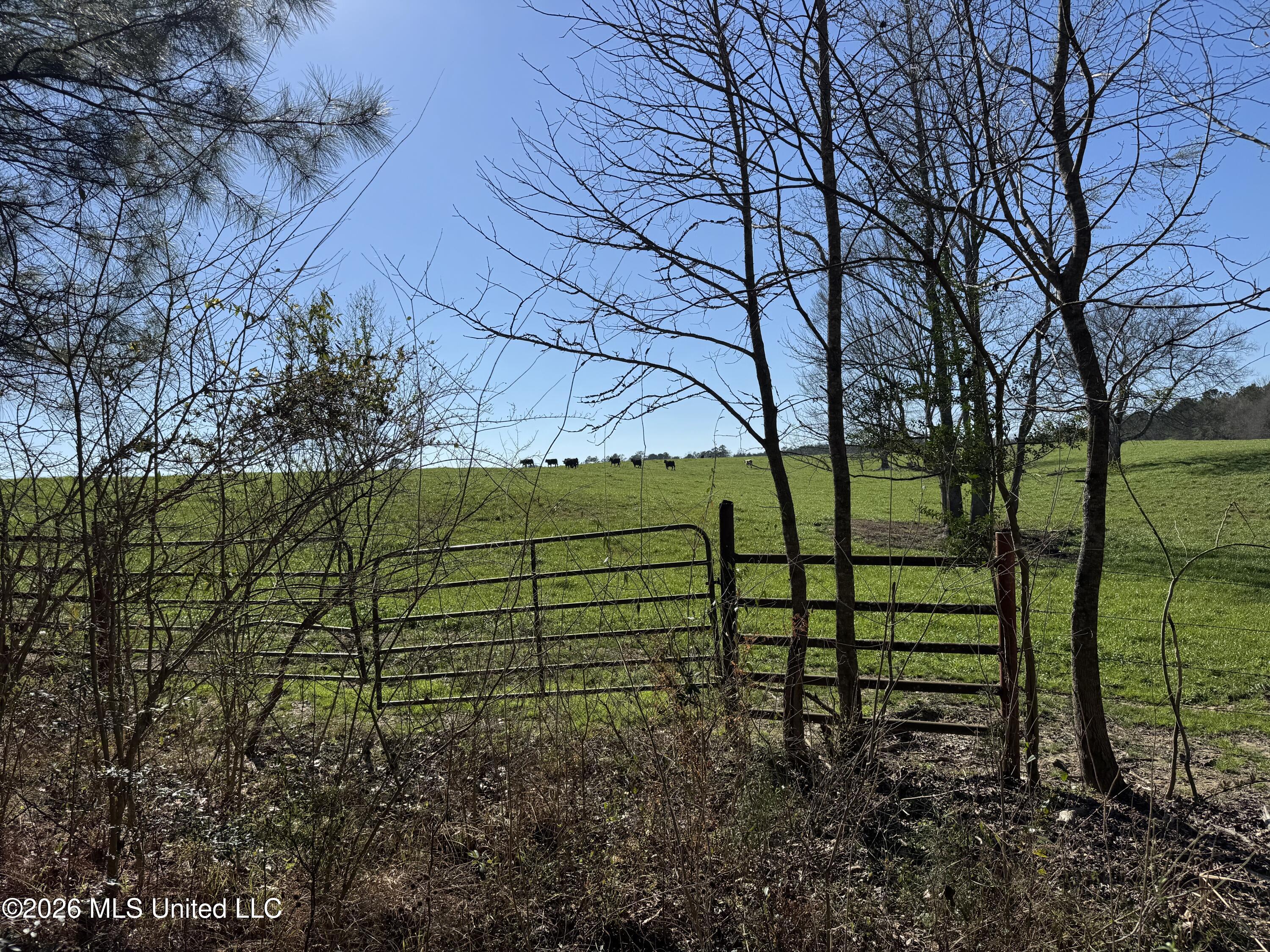 29 Sontag-Nola Road Sontag, MS 39665 - Photo 31 of 78 Photo Mar 02 2026, 14 54 42