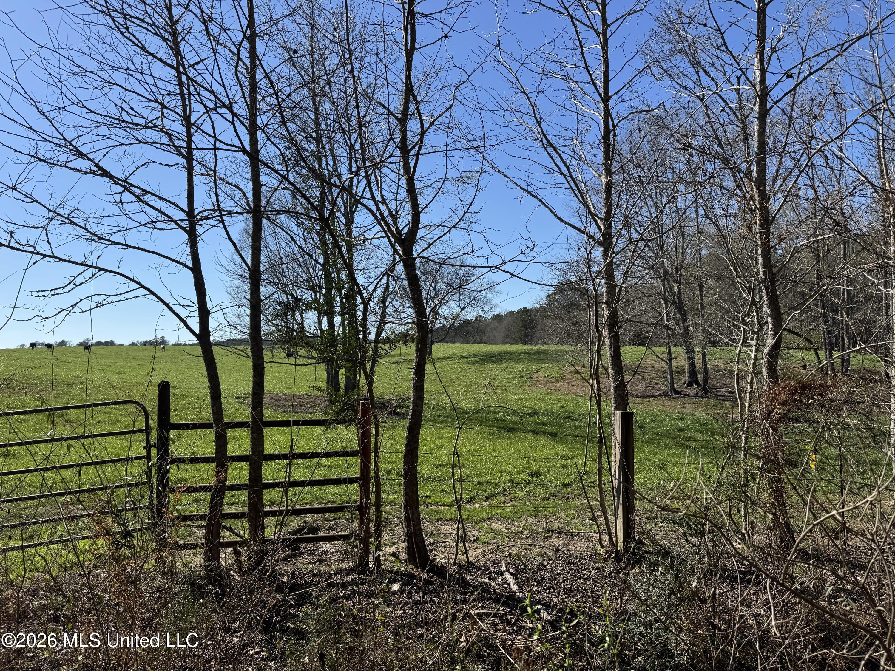 29 Sontag-Nola Road Sontag, MS 39665 - Photo 32 of 78 Photo Mar 02 2026, 14 54 47
