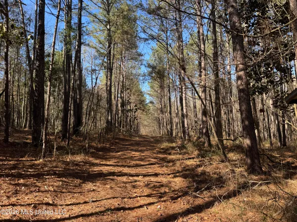 $560,000 | 29 Sontag-Nola Road, Sontag, MS 39665