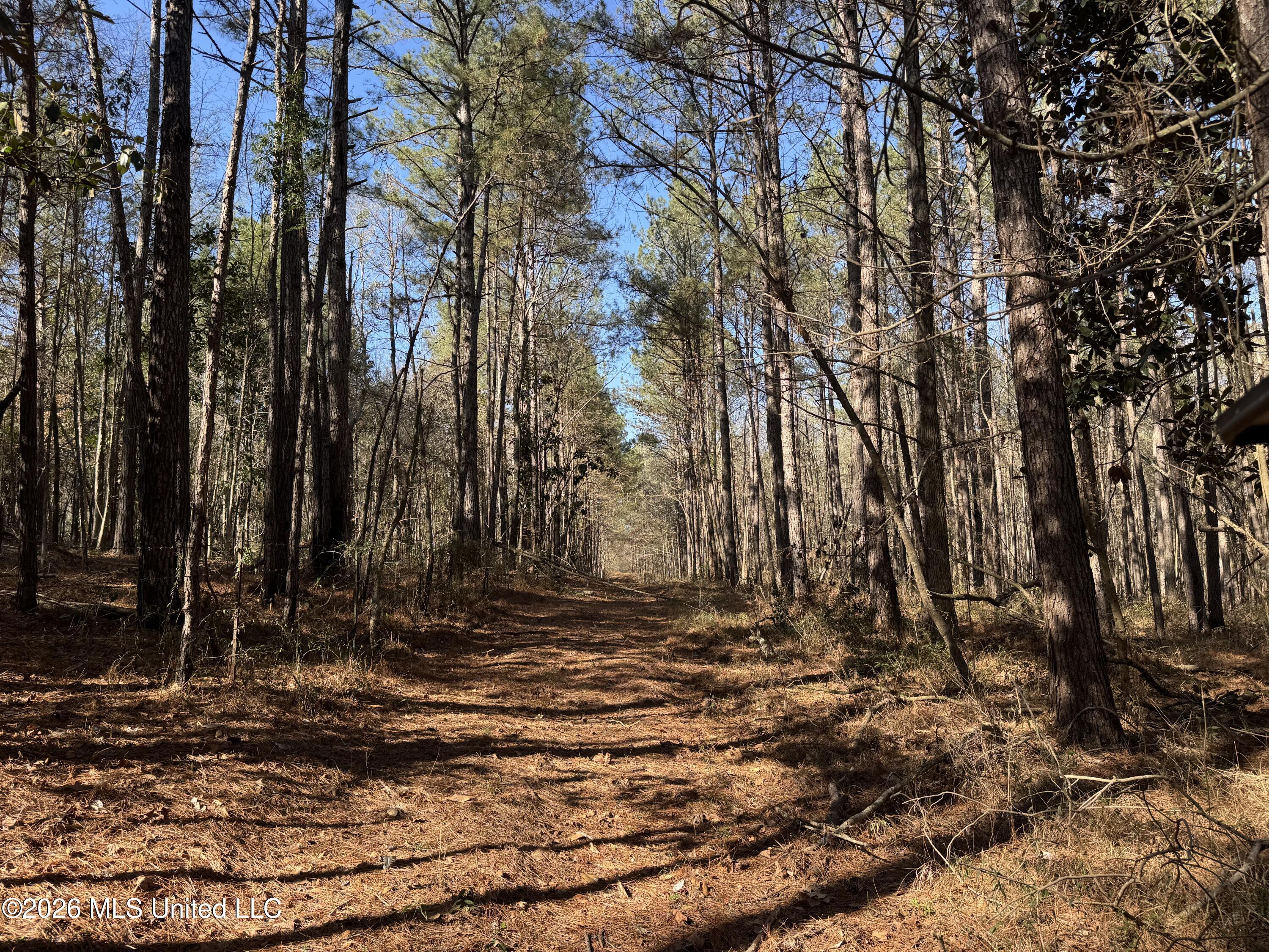 29 Sontag-Nola Road Sontag, MS 39665 - Photo 33 of 78 Photo Mar 02 2026, 15 00 02