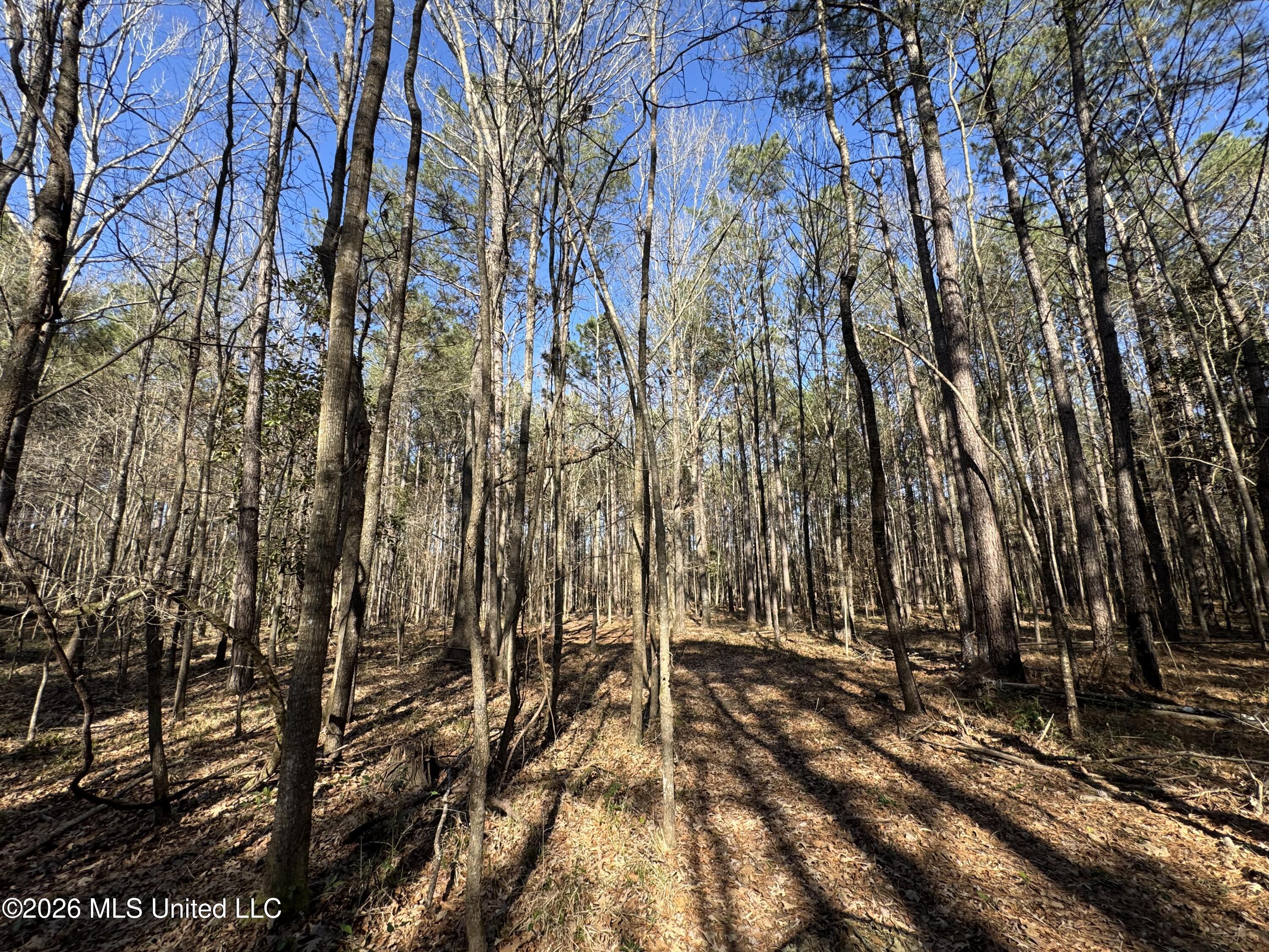 29 Sontag-Nola Road Sontag, MS 39665 - Photo 34 of 78 Photo Mar 02 2026, 15 00 40