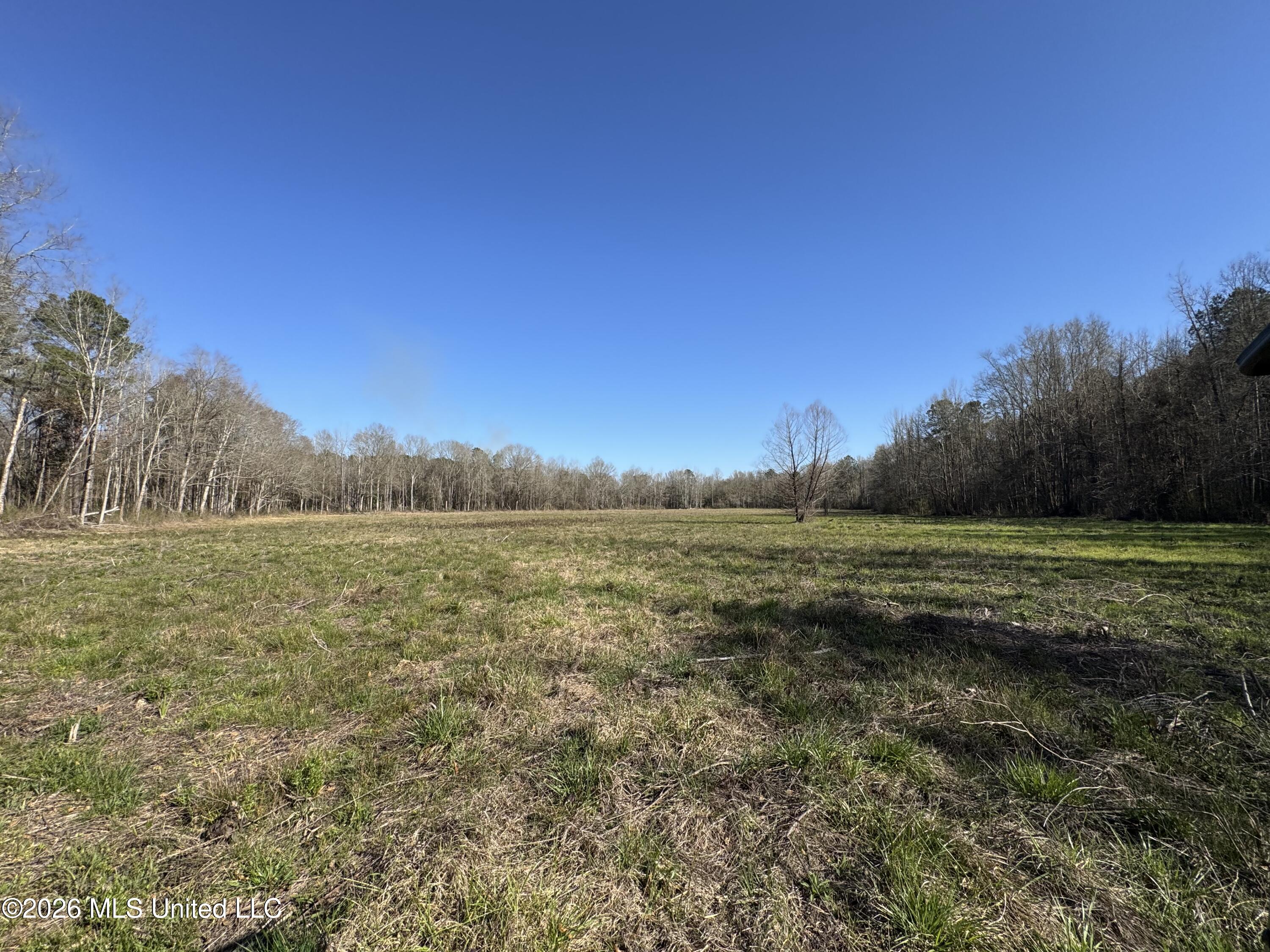 29 Sontag-Nola Road Sontag, MS 39665 - Photo 35 of 78 Photo Mar 02 2026, 15 02 45