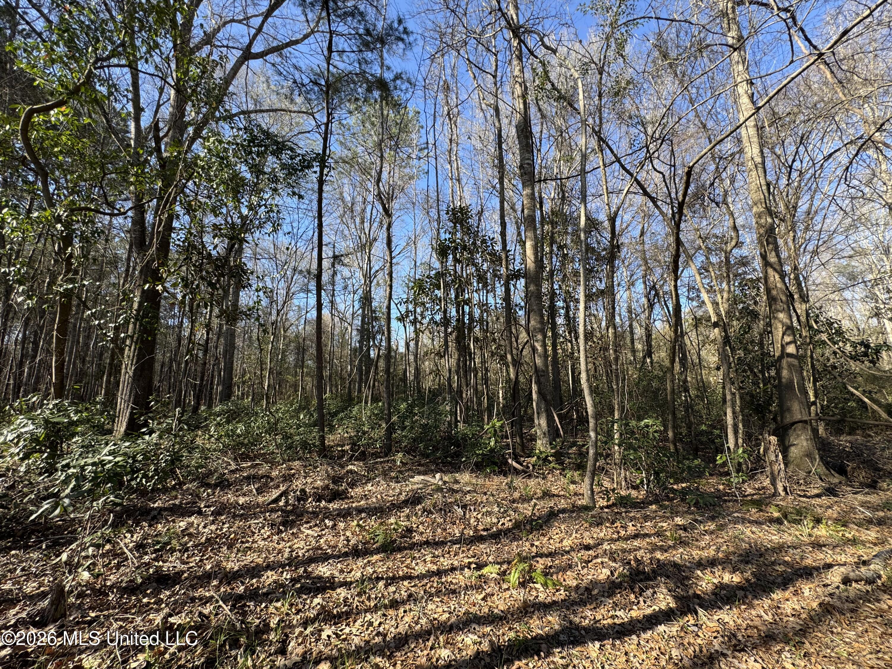 29 Sontag-Nola Road Sontag, MS 39665 - Photo 36 of 78 Photo Mar 02 2026, 15 03 33
