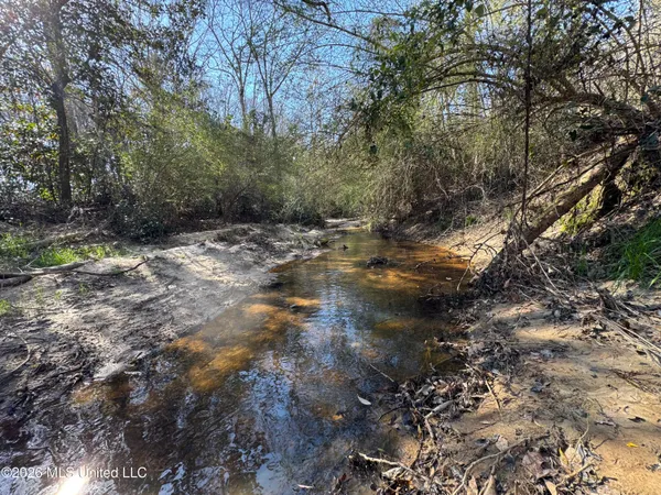 $560,000 | 29 Sontag-Nola Road, Sontag, MS 39665