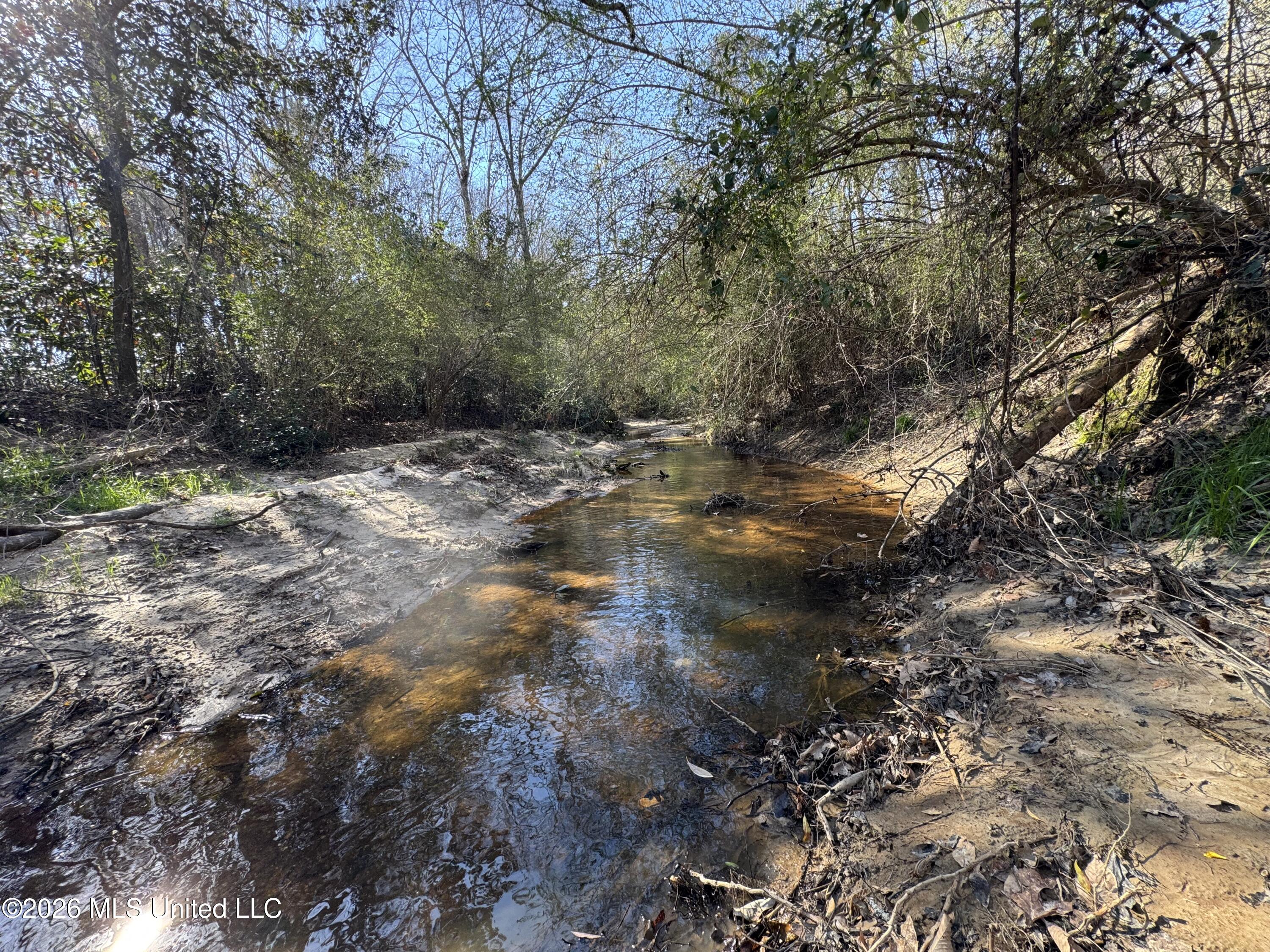29 Sontag-Nola Road Sontag, MS 39665 - Photo 38 of 78 Photo Mar 02 2026, 15 05 18