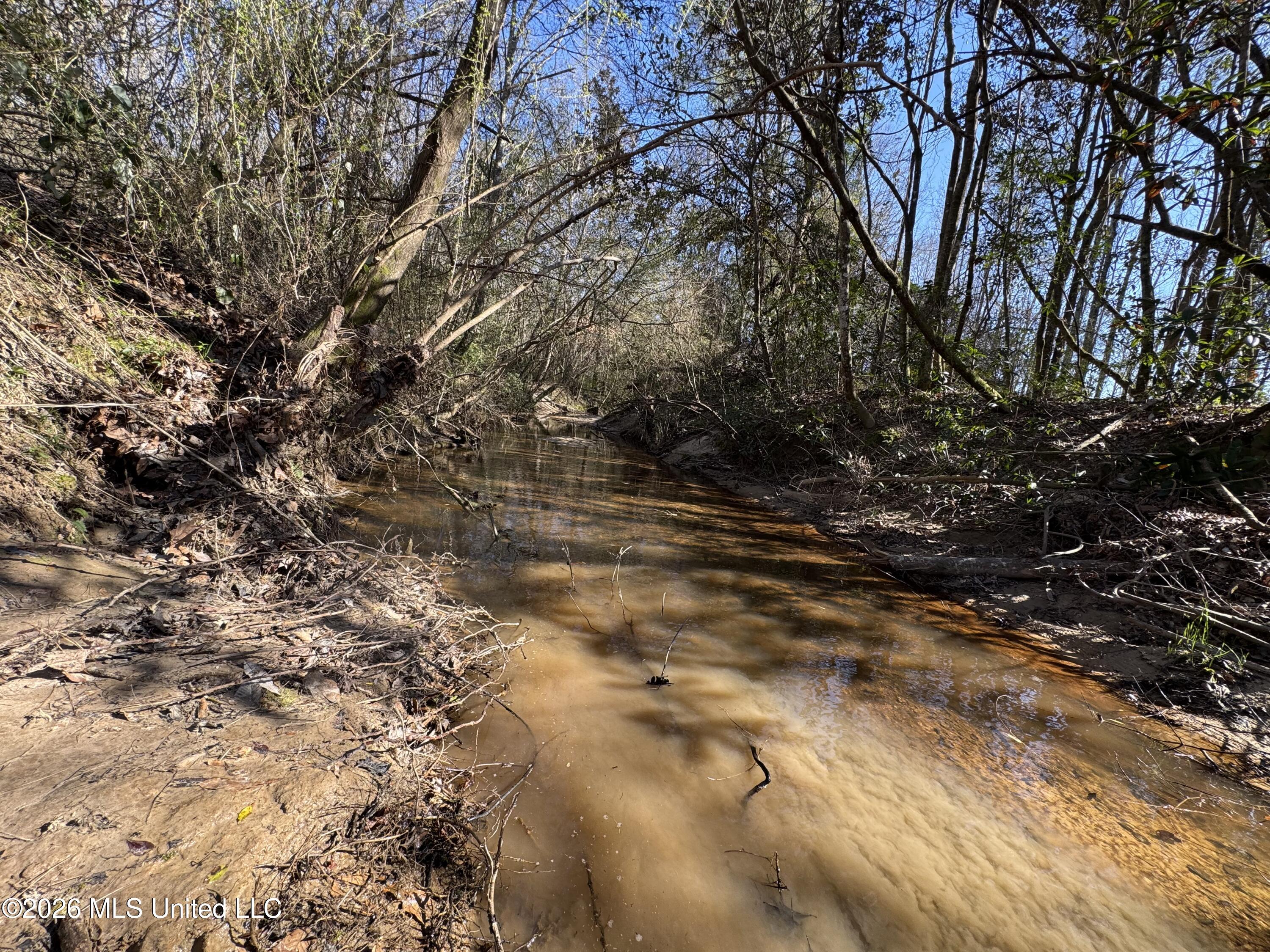 29 Sontag-Nola Road Sontag, MS 39665 - Photo 39 of 78 Photo Mar 02 2026, 15 05 21