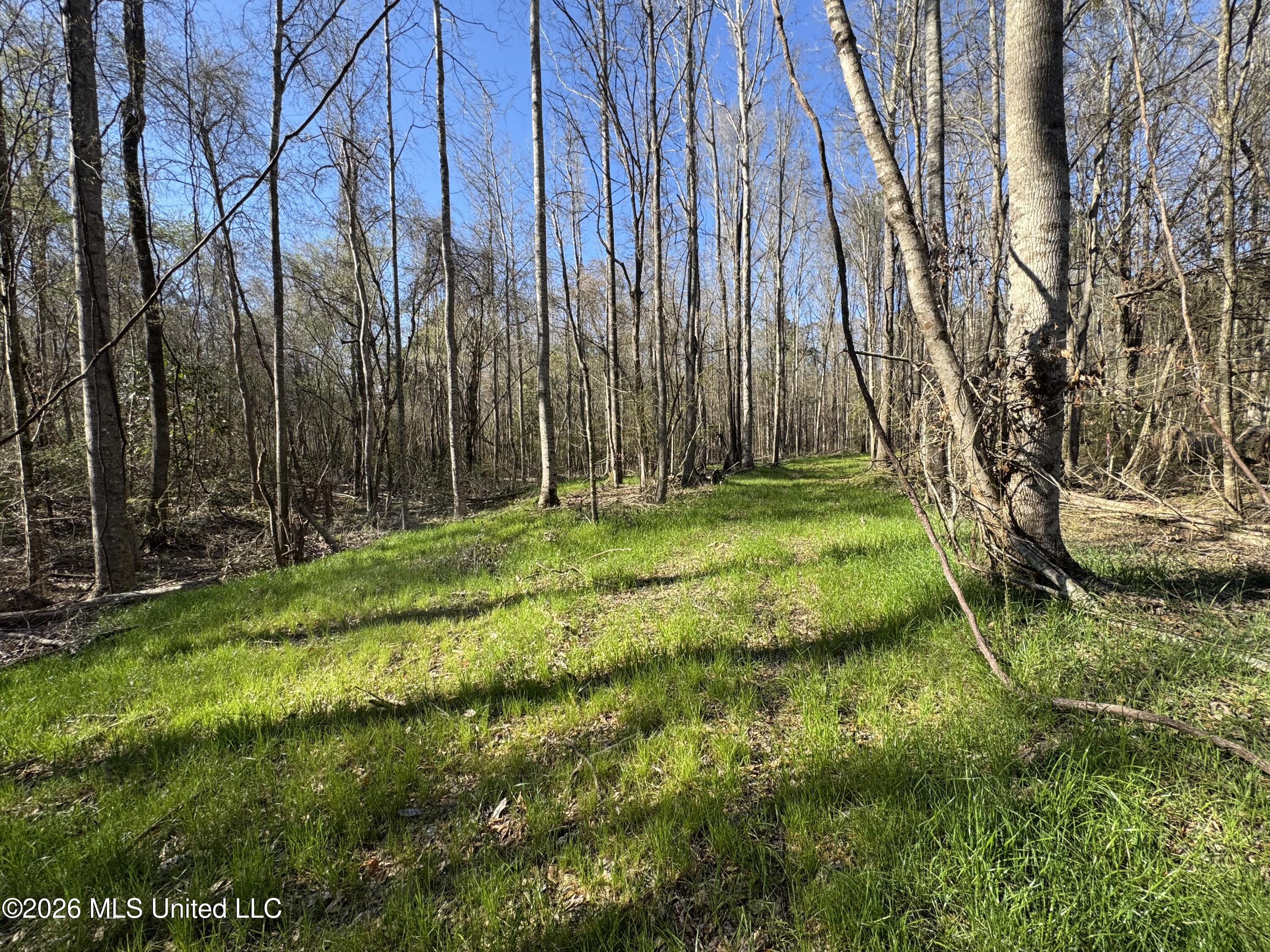 29 Sontag-Nola Road Sontag, MS 39665 - Photo 40 of 78 Photo Mar 02 2026, 15 06 12