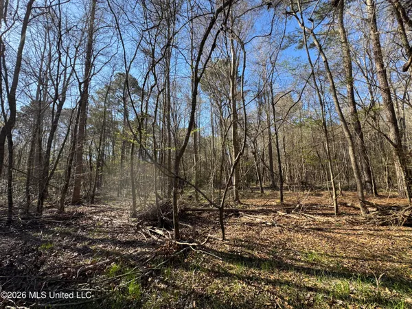 $560,000 | 29 Sontag-Nola Road, Sontag, MS 39665