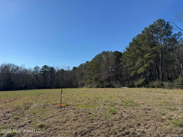 $560,000 | 29 Sontag-Nola Road, Sontag, MS 39665