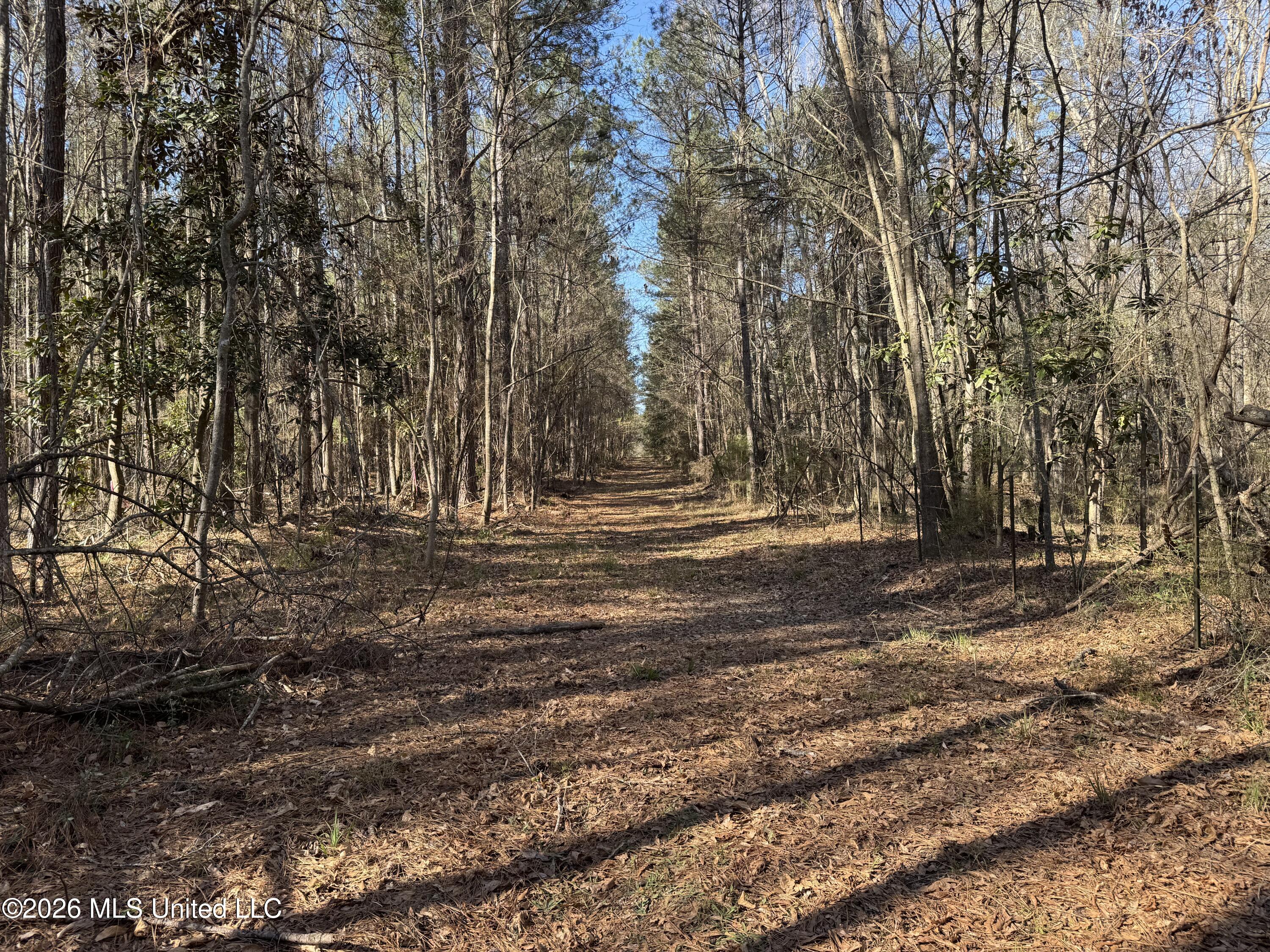 29 Sontag-Nola Road Sontag, MS 39665 - Photo 44 of 78 Photo Mar 02 2026, 15 10 41