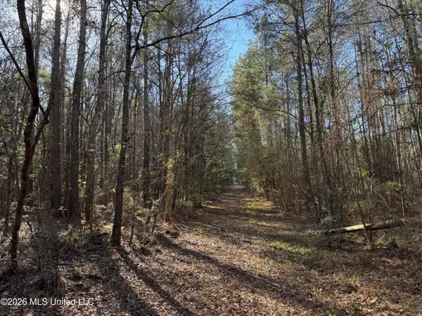 $560,000 | 29 Sontag-Nola Road, Sontag, MS 39665
