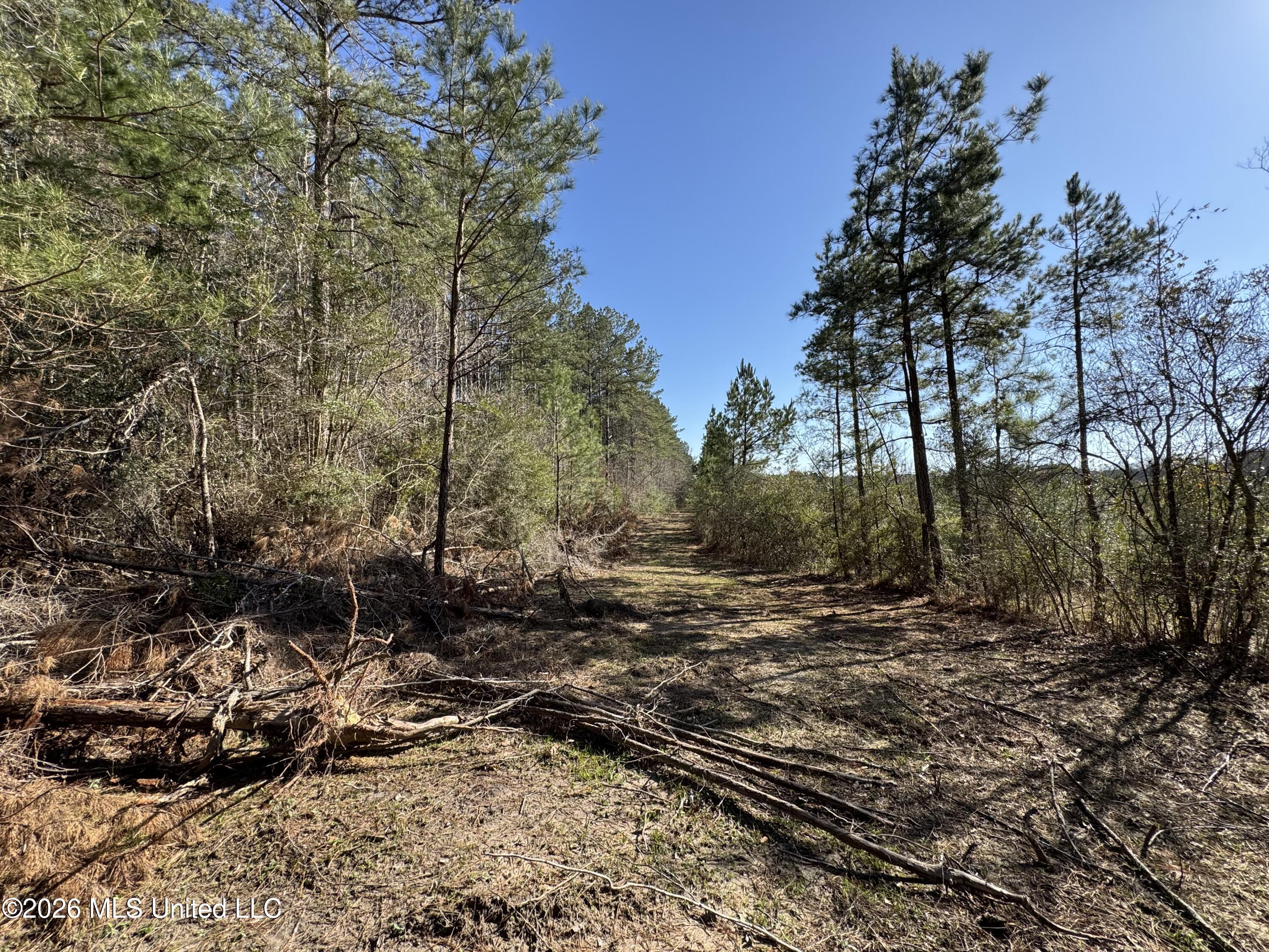 29 Sontag-Nola Road Sontag, MS 39665 - Photo 48 of 78 Photo Mar 02 2026, 15 14 30