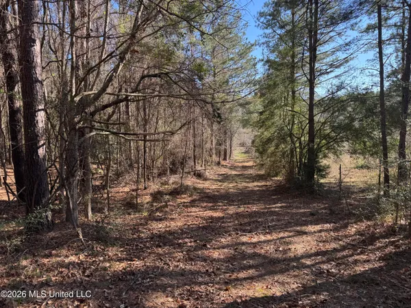 $560,000 | 29 Sontag-Nola Road, Sontag, MS 39665