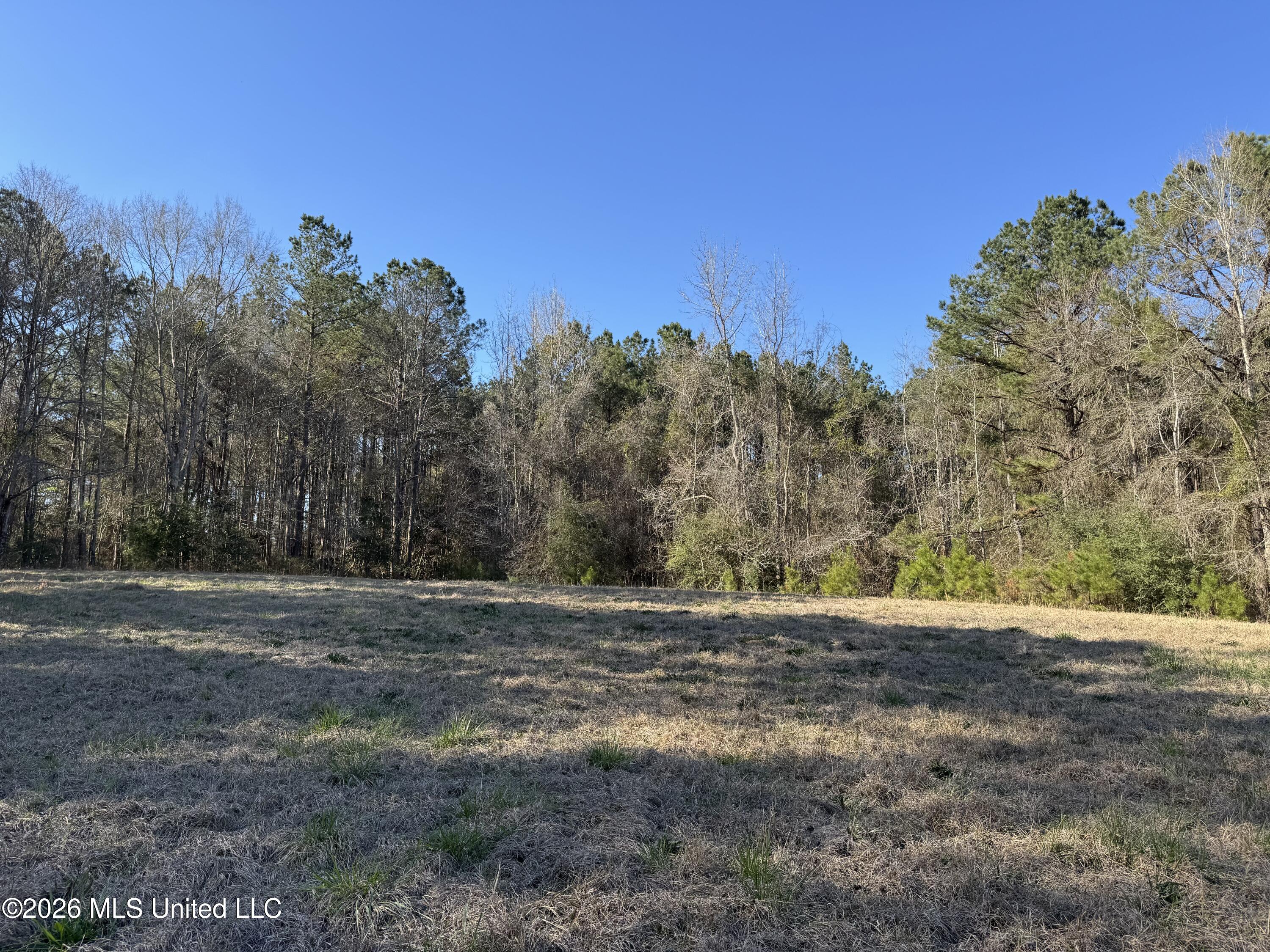 29 Sontag-Nola Road Sontag, MS 39665 - Photo 50 of 78 Photo Mar 02 2026, 15 16 59