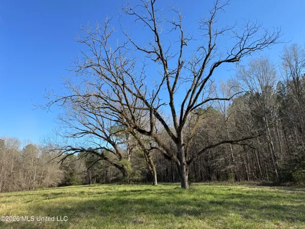 $560,000 | 29 Sontag-Nola Road, Sontag, MS 39665