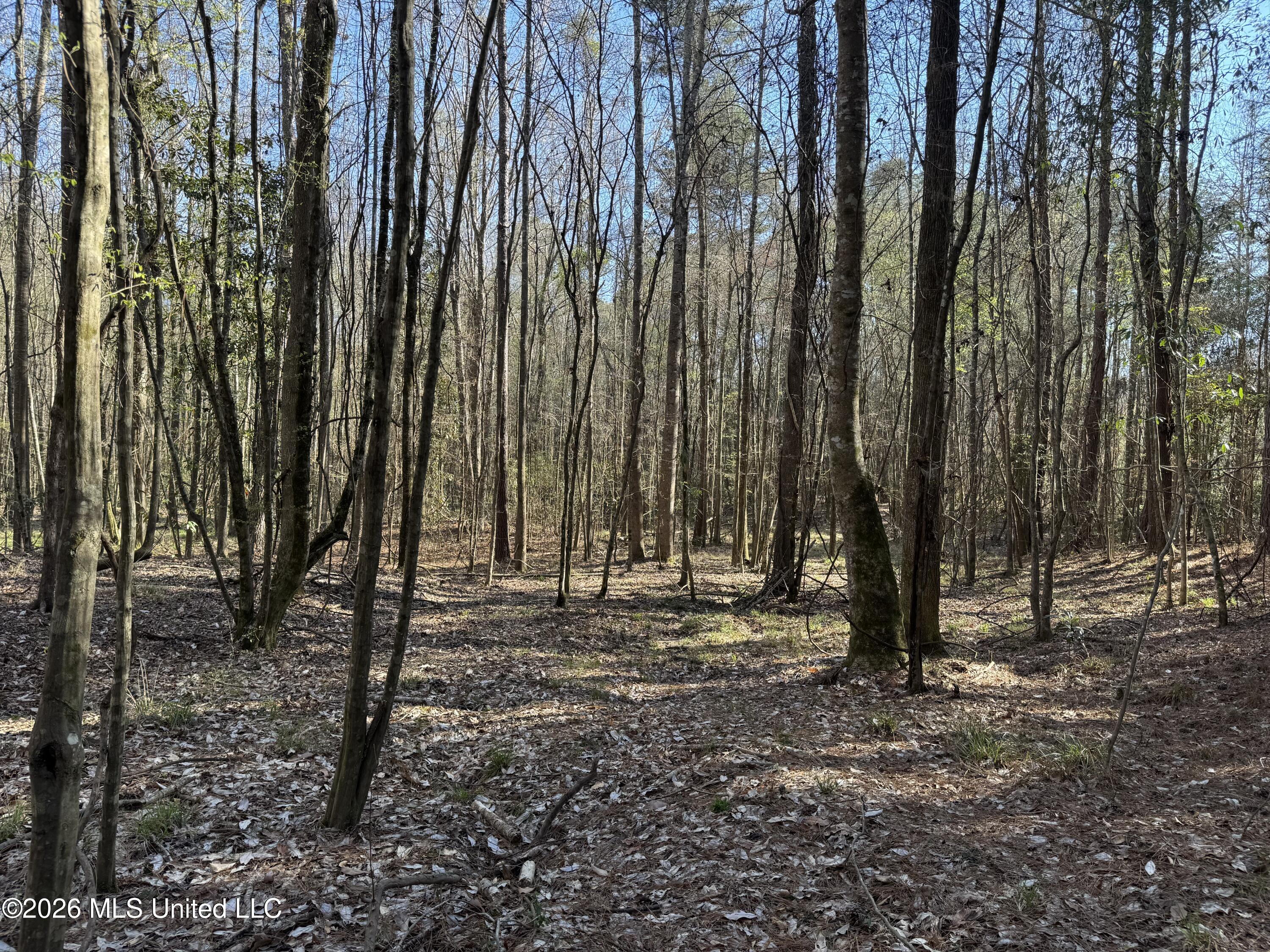 29 Sontag-Nola Road Sontag, MS 39665 - Photo 52 of 78 Photo Mar 02 2026, 15 19 19