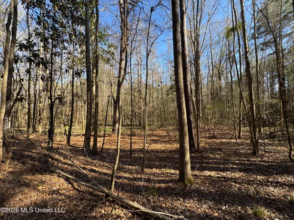 $560,000 | 29 Sontag-Nola Road, Sontag, MS 39665