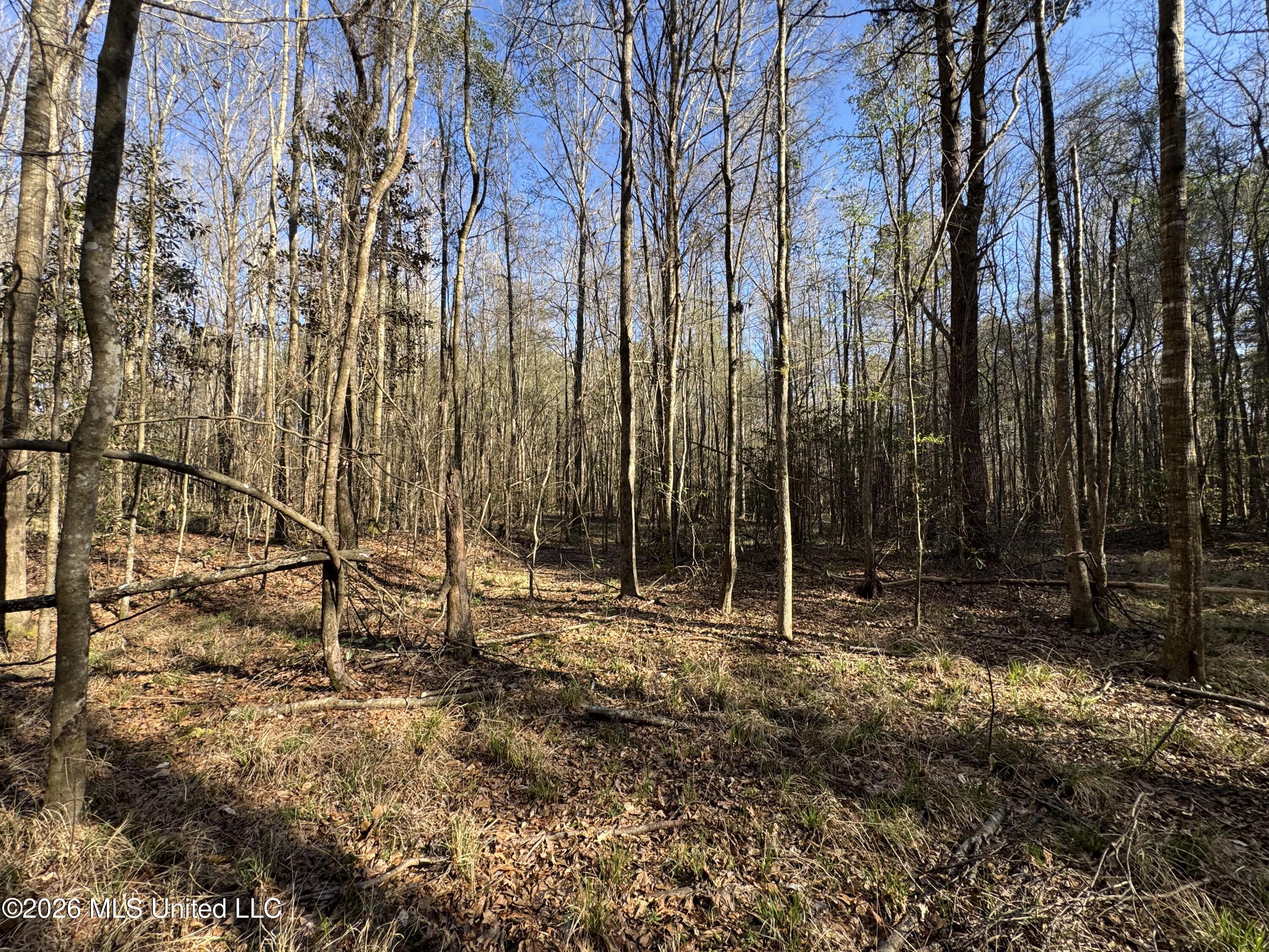 29 Sontag-Nola Road Sontag, MS 39665 - Photo 55 of 78 Photo Mar 02 2026, 15 20 27