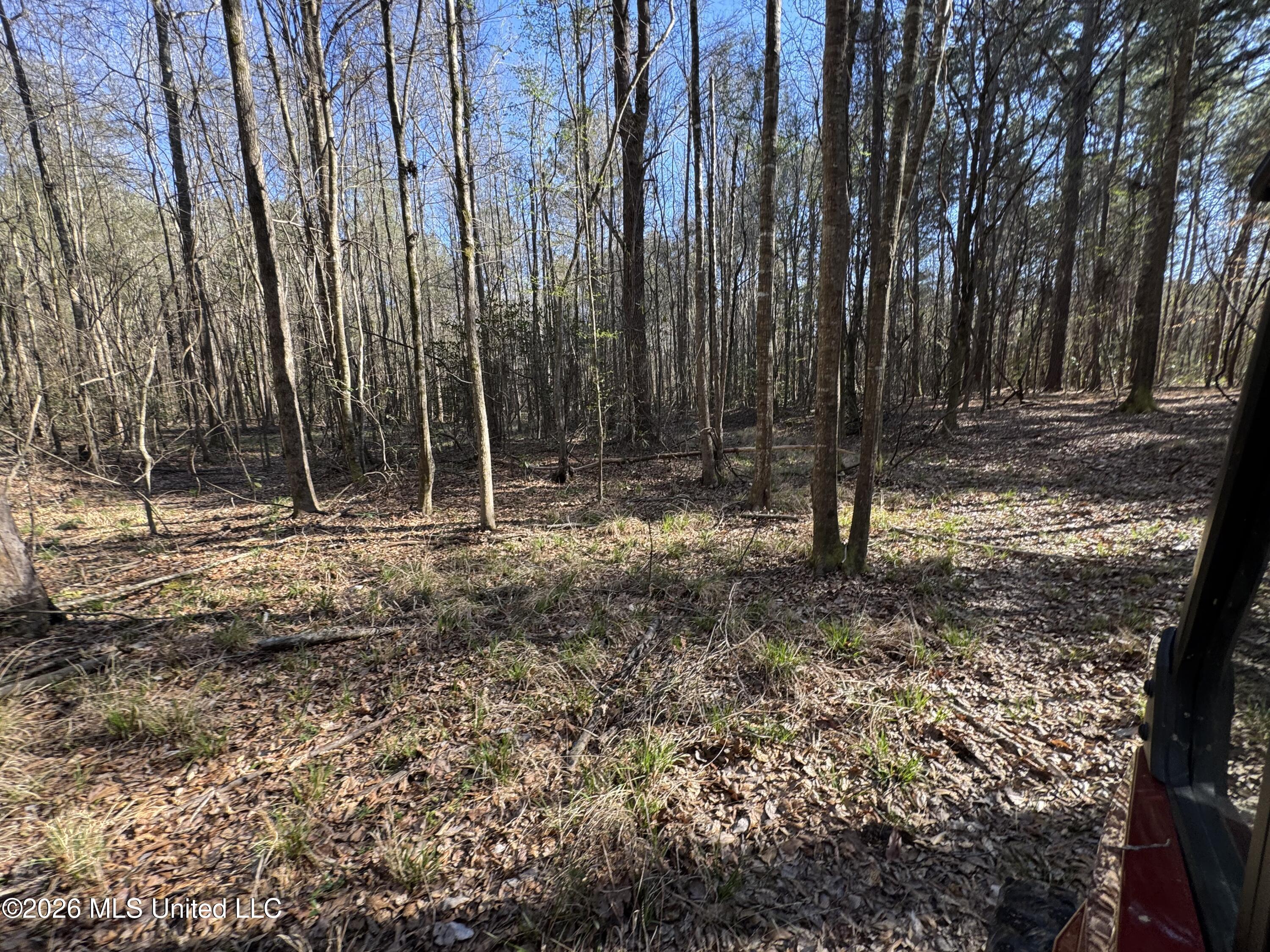 29 Sontag-Nola Road Sontag, MS 39665 - Photo 56 of 78 Photo Mar 02 2026, 15 21 09