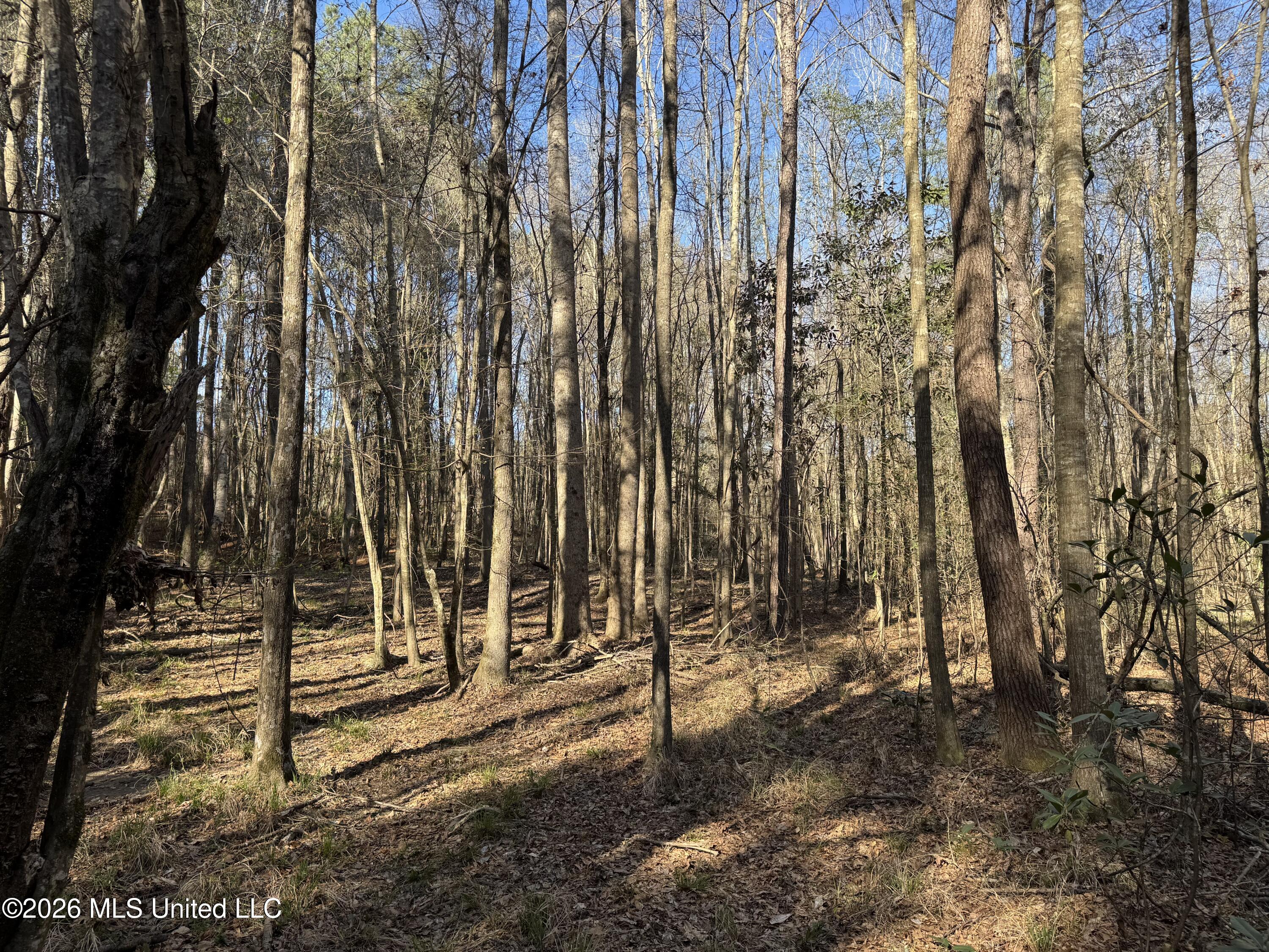 29 Sontag-Nola Road Sontag, MS 39665 - Photo 57 of 78 Photo Mar 02 2026, 15 21 28