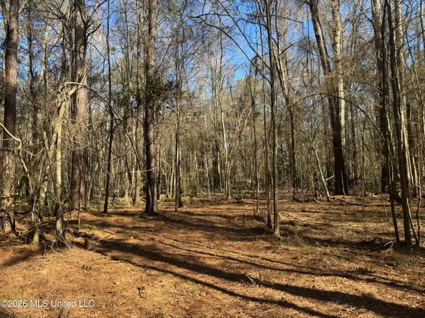 $560,000 | 29 Sontag-Nola Road, Sontag, MS 39665
