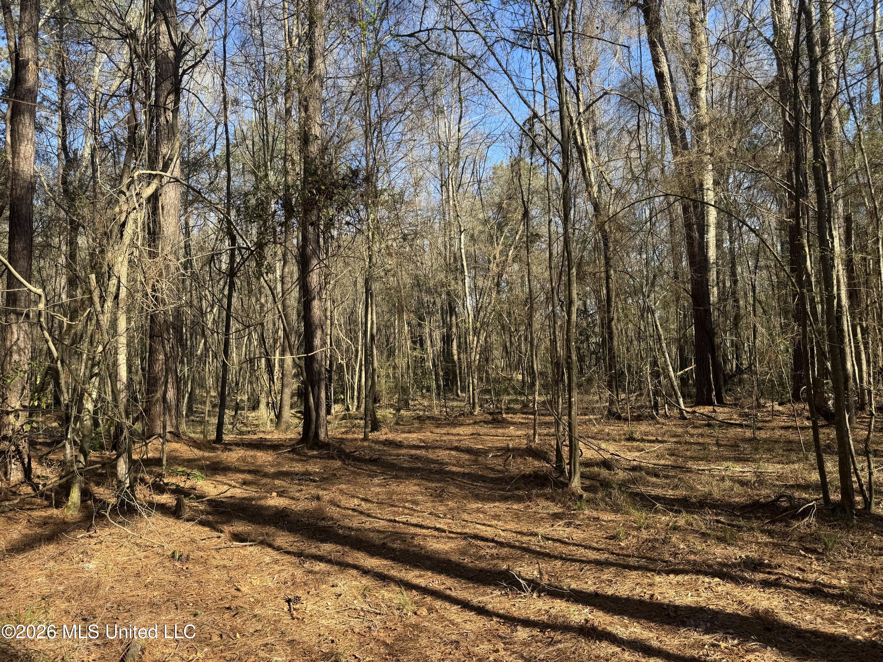 29 Sontag-Nola Road Sontag, MS 39665 - Photo 58 of 78 Photo Mar 02 2026, 15 22 47