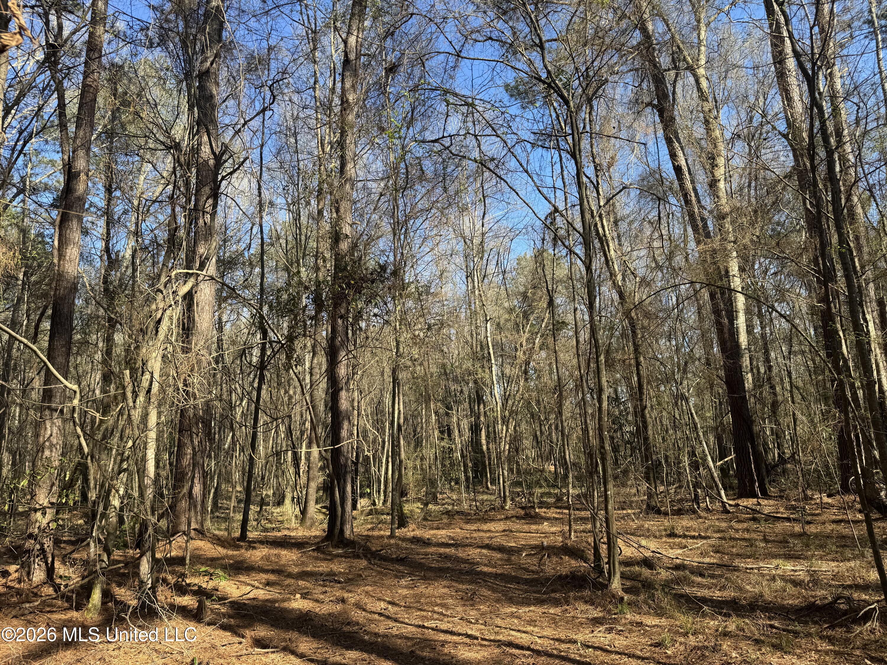29 Sontag-Nola Road Sontag, MS 39665 - Photo 59 of 78 Photo Mar 02 2026, 15 22 50