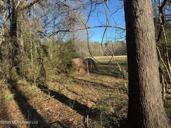 $560,000 | 29 Sontag-Nola Road, Sontag, MS 39665