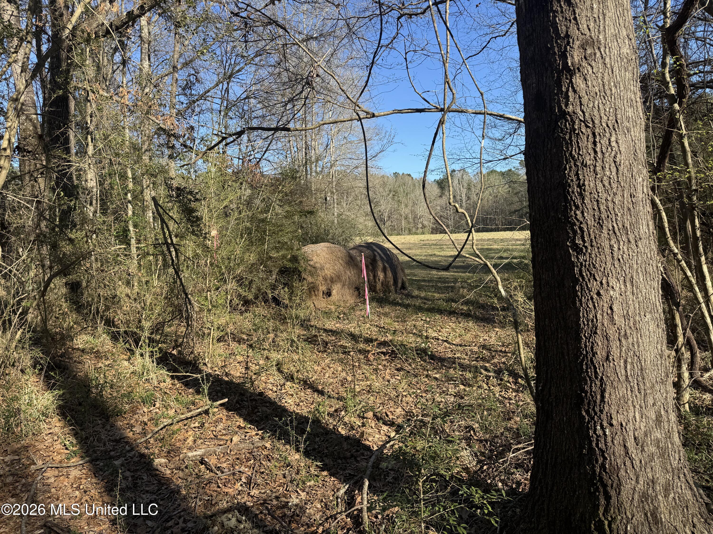 29 Sontag-Nola Road Sontag, MS 39665 - Photo 61 of 78 Photo Mar 02 2026, 15 24 11