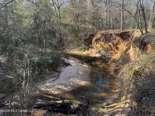 $560,000 | 29 Sontag-Nola Road, Sontag, MS 39665