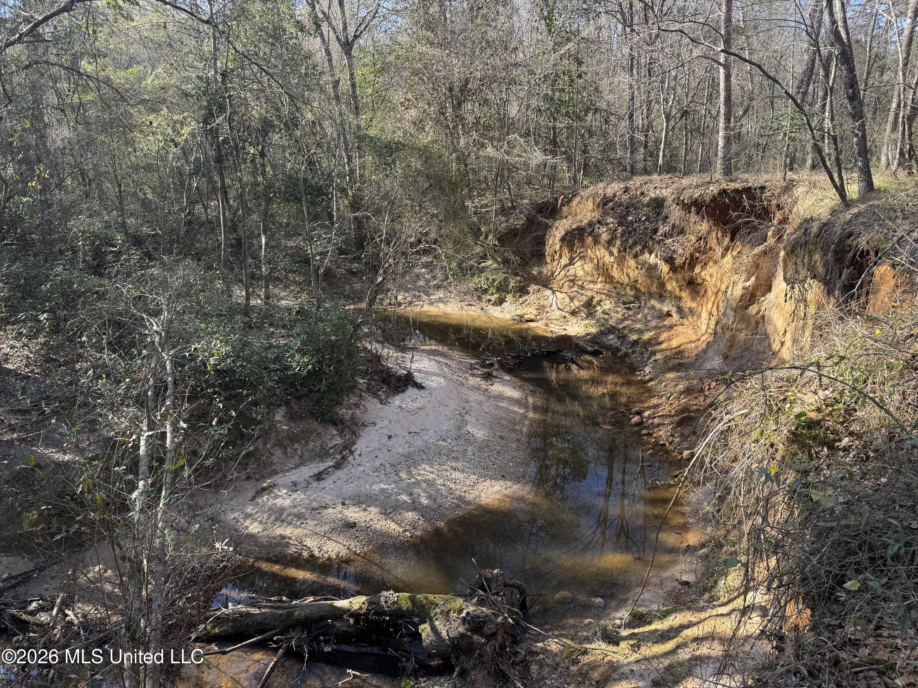 29 Sontag-Nola Road Sontag, MS 39665 - Photo 62 of 78 Photo Mar 02 2026, 15 26 04