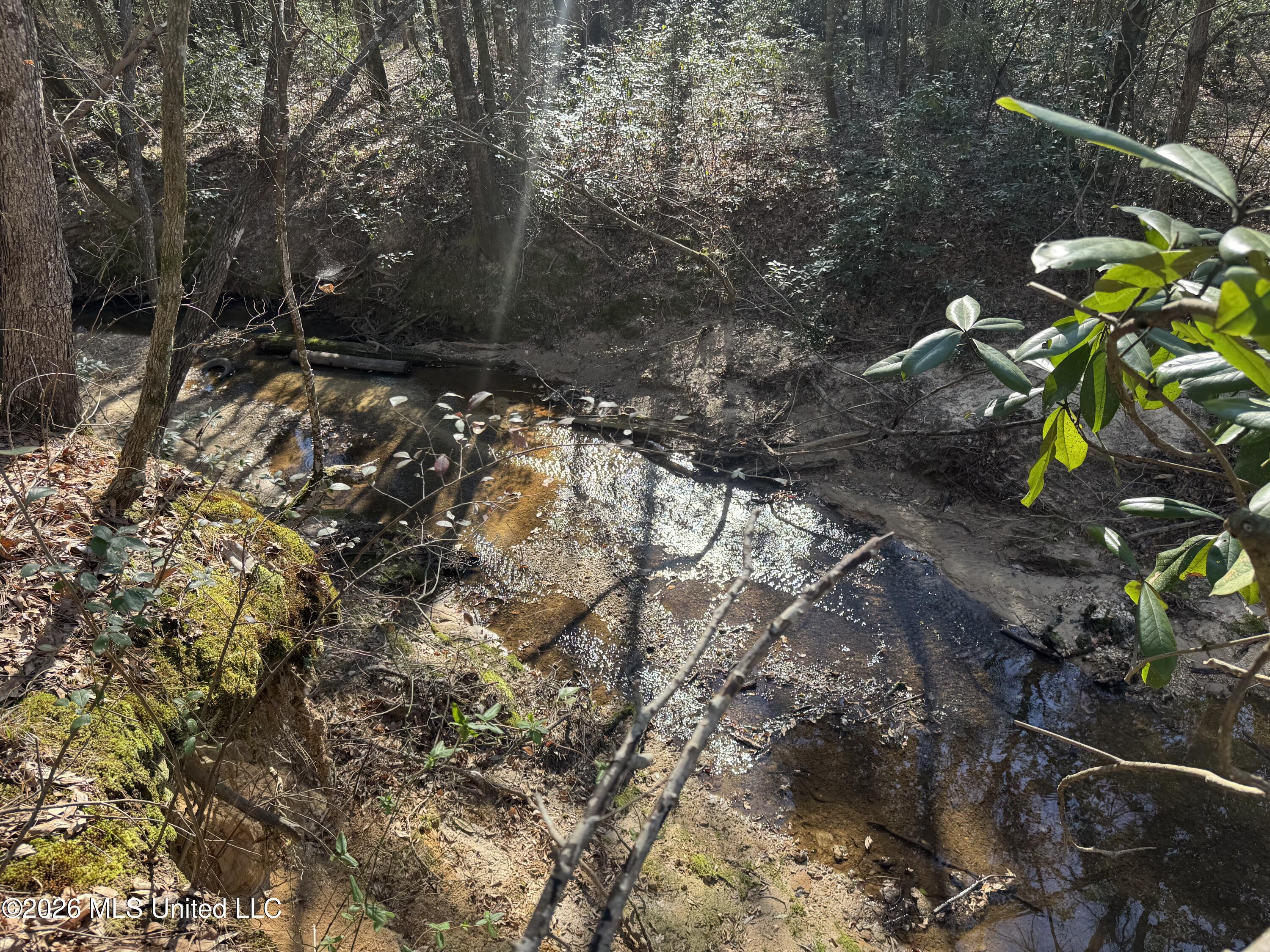 29 Sontag-Nola Road Sontag, MS 39665 - Photo 63 of 78 Photo Mar 02 2026, 15 26 28