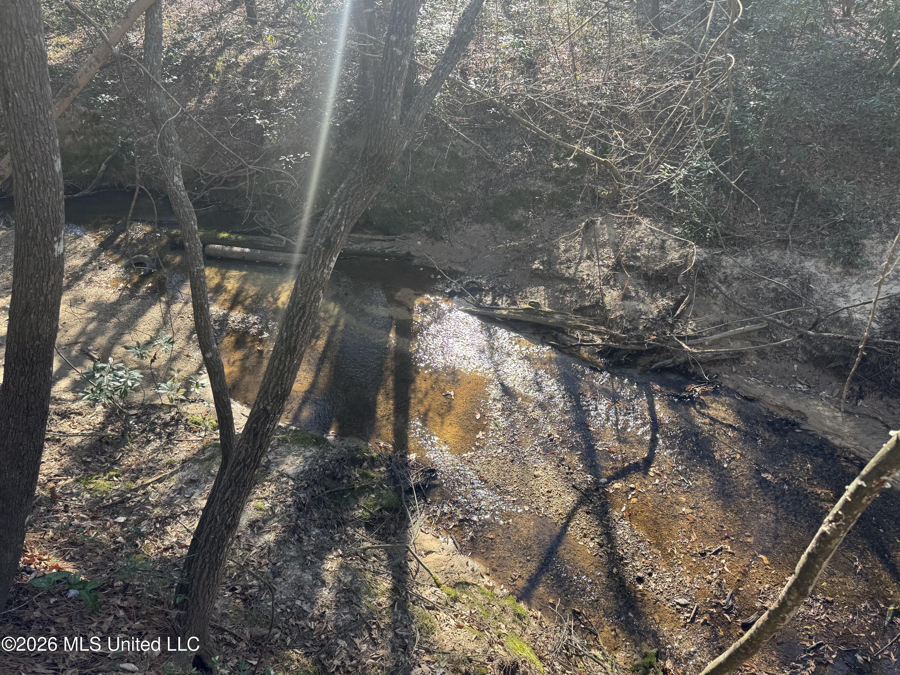 29 Sontag-Nola Road Sontag, MS 39665 - Photo 64 of 78 Photo Mar 02 2026, 15 26 48