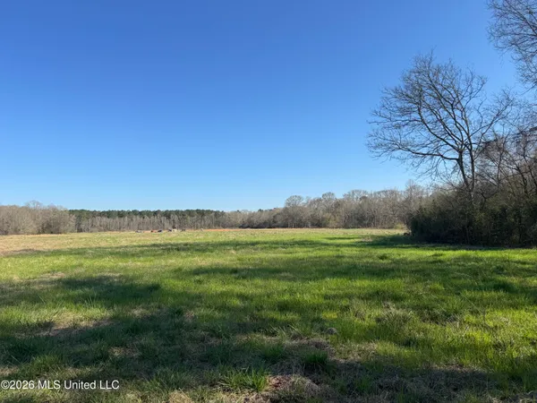 $560,000 | 29 Sontag-Nola Road, Sontag, MS 39665