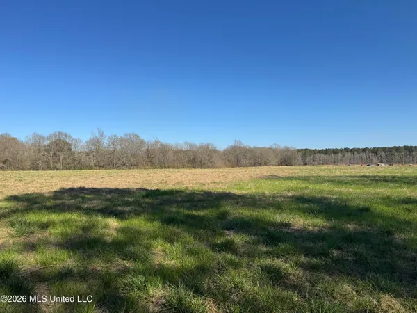 $560,000 | 29 Sontag-Nola Road, Sontag, MS 39665