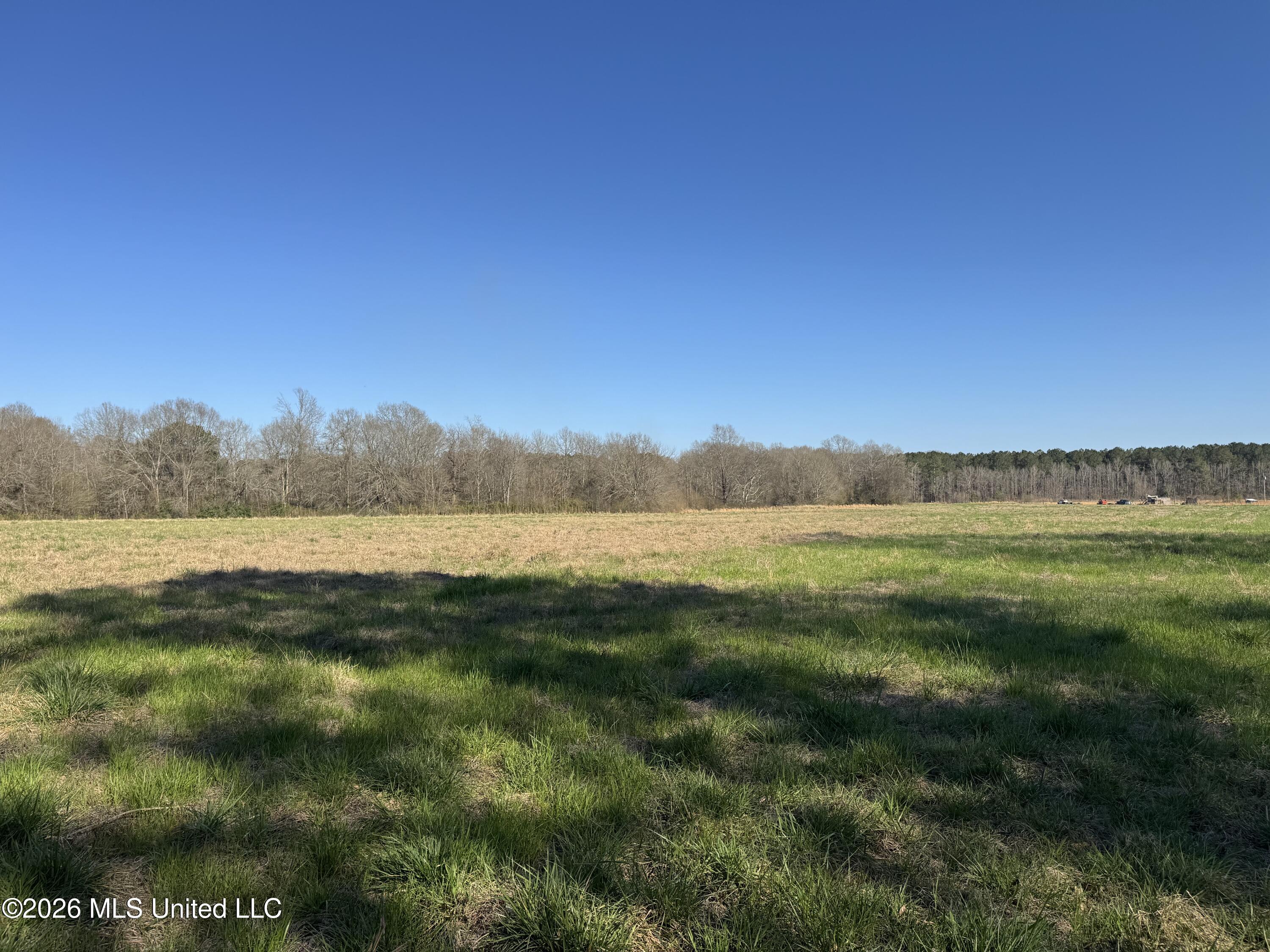 29 Sontag-Nola Road Sontag, MS 39665 - Photo 66 of 78 Photo Mar 02 2026, 15 28 45